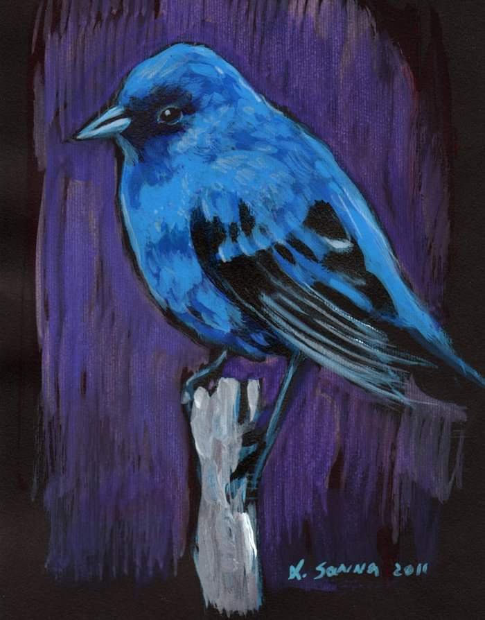 Uccellino azzurro in controluce viola (2011, carta nera)