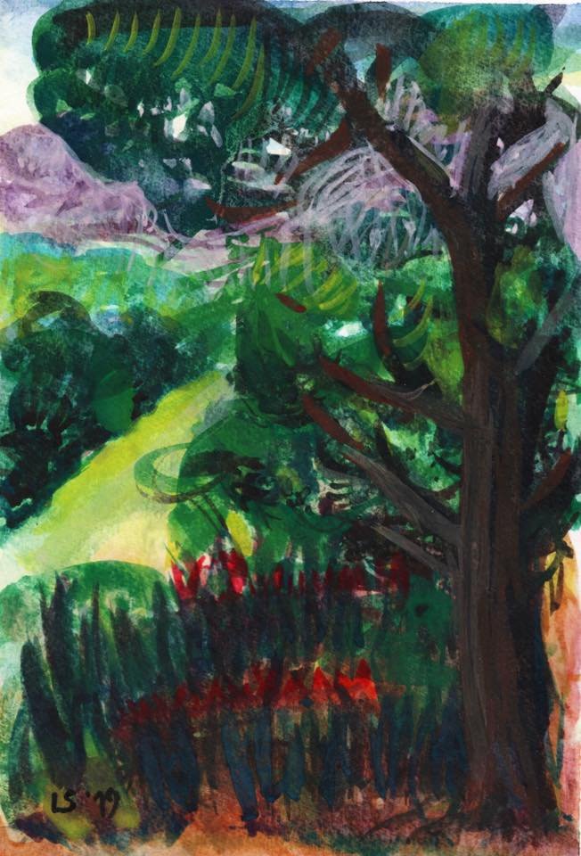 Sottobosco: luce tra le fronde (acquerello su carta)