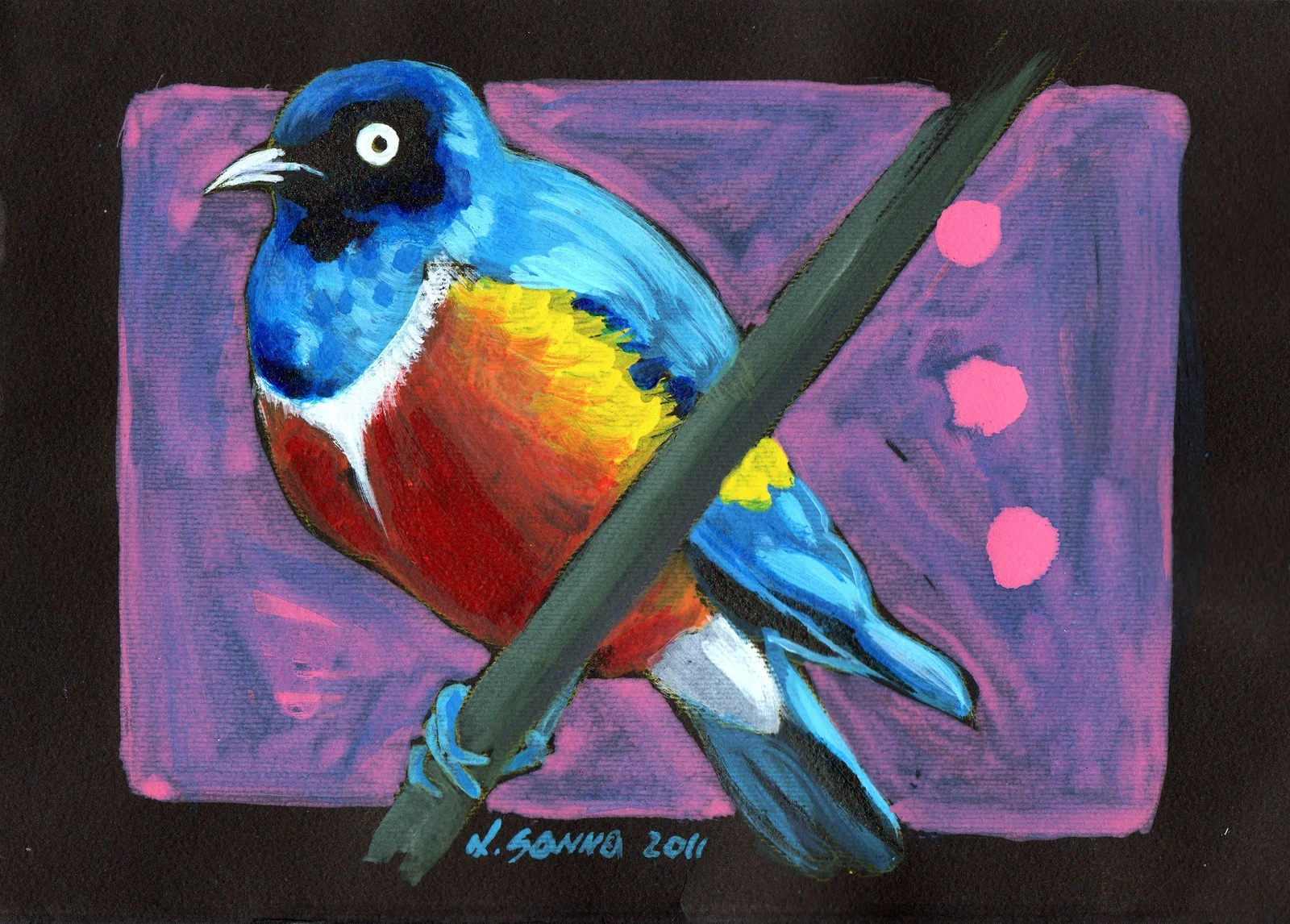 Piccione su ramo in diagonale (acrilico su carta nera)