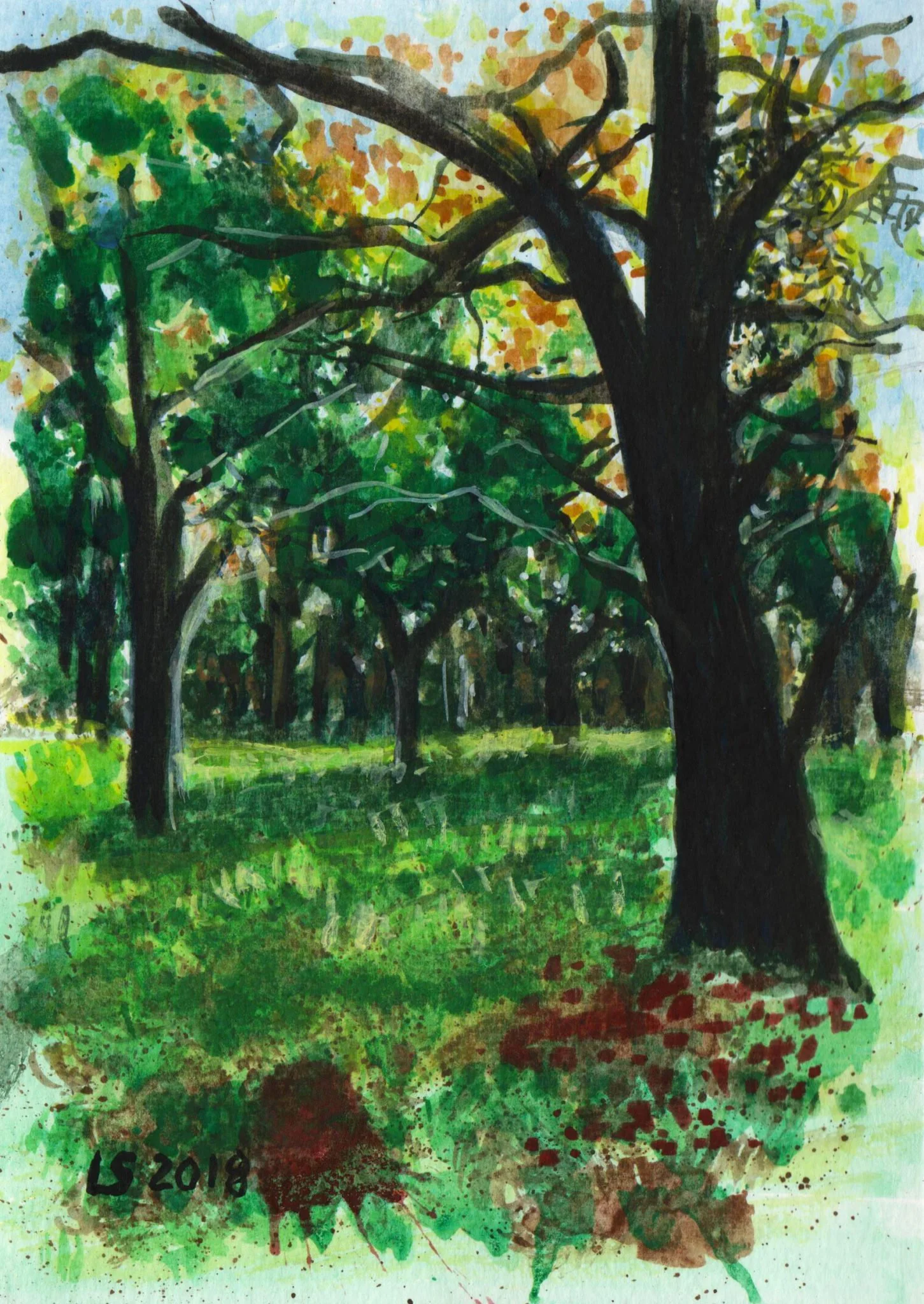 Badde Salighes — sentiero nel bosco (acquerello)