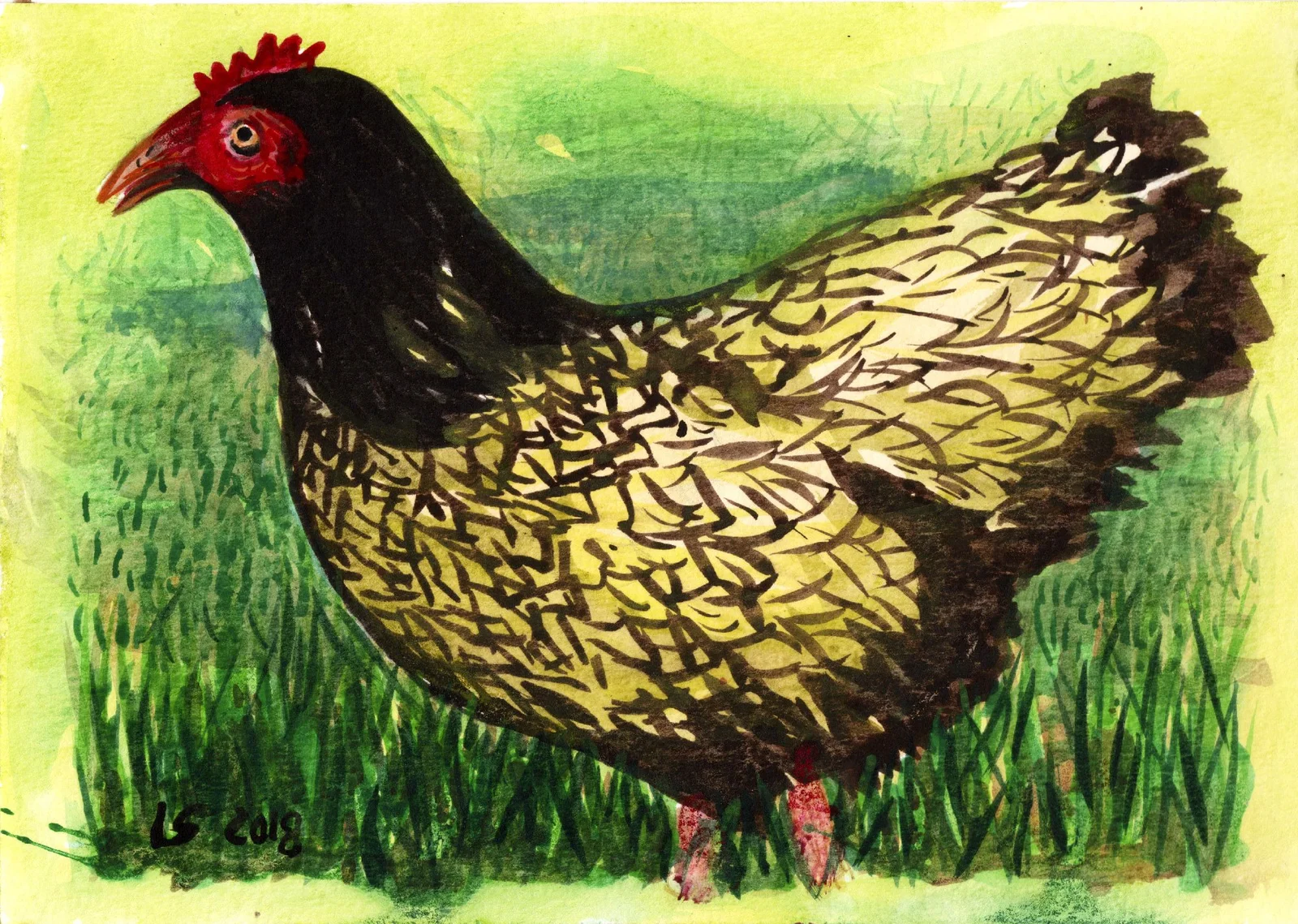 Gallina a piume dorate (acquerello su carta)