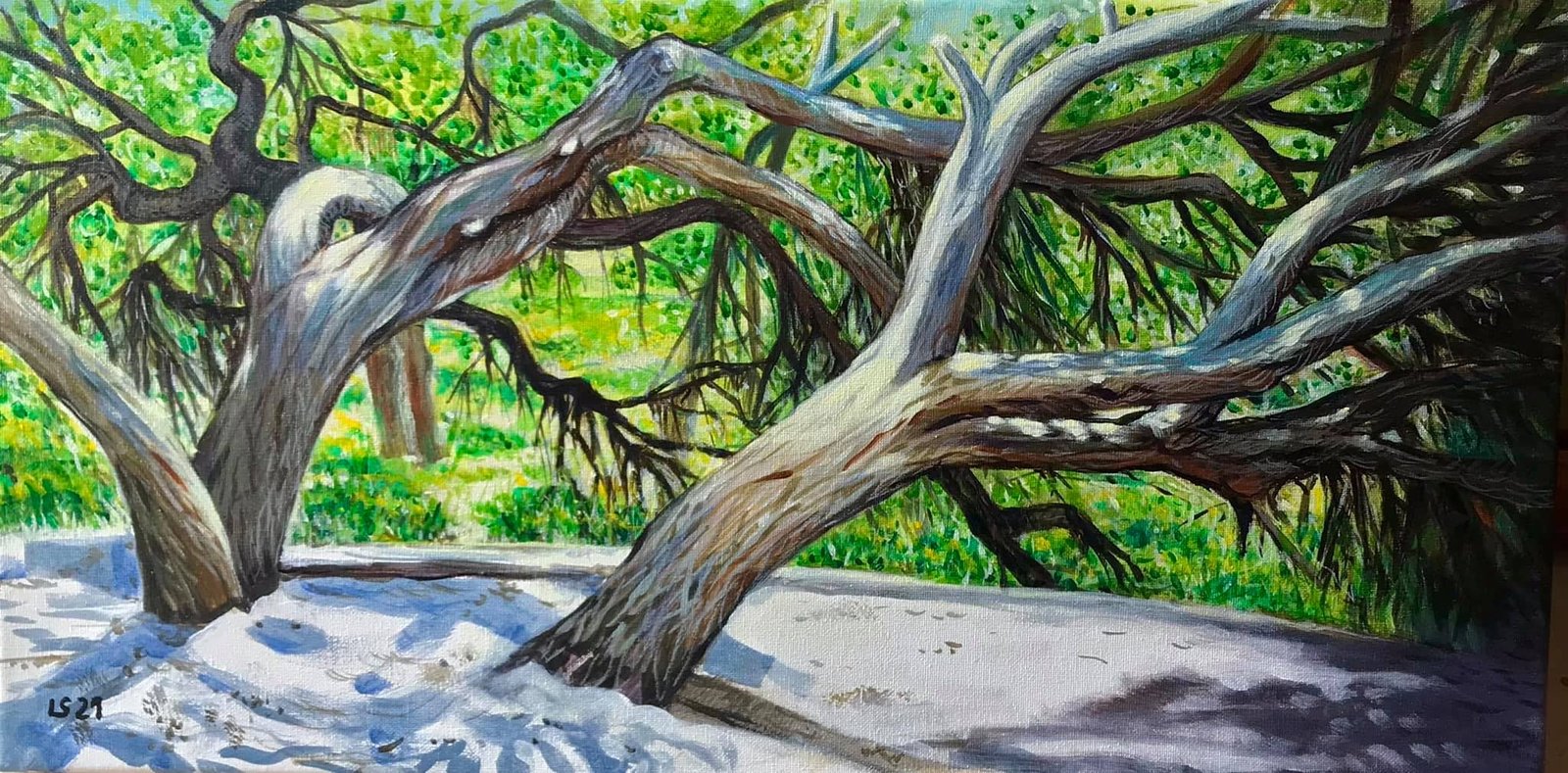 Archivi Opere - Arte a Sassari e in SardegnaArchivi Opere | Luca Sanna - Arte a Sassari e in Sardegna