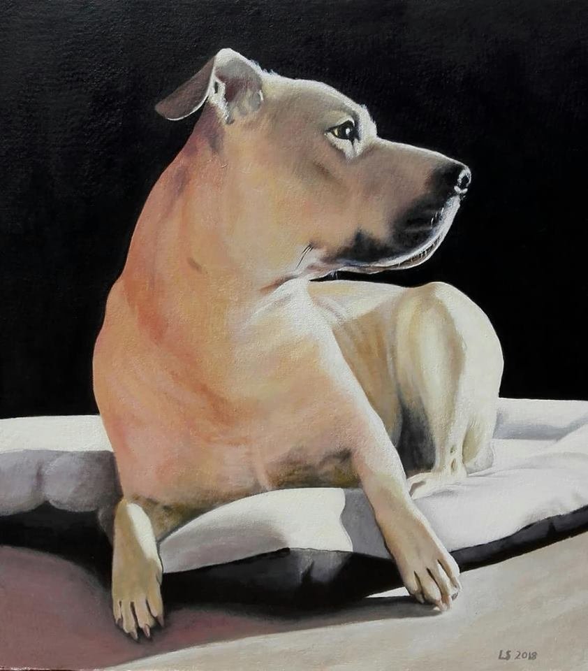 Animali Archivi - Arte a Sassari e in Sardegna