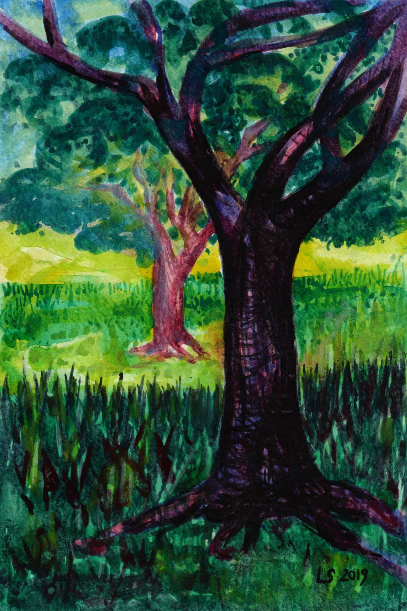 Due tronchi nel sottobosco (acquerello su carta)