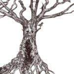 La Pareidolia: Un Ponte tra Psiche e Arte